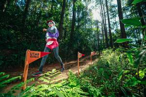 BIB: 
                            <button type="button" onclick="openModal(26629764)" class="btn btn-primary btn-sm float-right btn-popup" data-toggle="modal" data-target=".modal-high-quality">
                        <i class="fas fa-shopping-cart"></i> Add to Cart
                    </button>
                                            <button type="button" onclick="isThisMe(26629764, true)" class="btn btn-success btn-sm float-right btn-popup btn-isme hidden" data-toggle="tooltip" data-placement="bottom" title="นี่คือรูปของคุณใช่ไหม คลิกที่นี่เพื่อเอาเข้าอัลบั้ม">
                        <i class="fas fa-plus"></i> Add to album
                    </button>
                    <button type="button" onclick="isThisMe(26629764, false)" class="btn btn-warning btn-sm float-right btn-popup btn-isnotme hidden">
                        <i class="fas fa-ban"></i> Remove from album
                    </button>