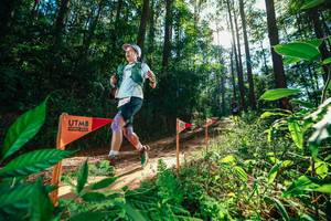 BIB: 
                            <button type="button" onclick="openModal(26630040)" class="btn btn-primary btn-sm float-right btn-popup" data-toggle="modal" data-target=".modal-high-quality">
                        <i class="fas fa-shopping-cart"></i> Add to Cart
                    </button>
                                            <button type="button" onclick="isThisMe(26630040, true)" class="btn btn-success btn-sm float-right btn-popup btn-isme hidden" data-toggle="tooltip" data-placement="bottom" title="นี่คือรูปของคุณใช่ไหม คลิกที่นี่เพื่อเอาเข้าอัลบั้ม">
                        <i class="fas fa-plus"></i> Add to album
                    </button>
                    <button type="button" onclick="isThisMe(26630040, false)" class="btn btn-warning btn-sm float-right btn-popup btn-isnotme hidden">
                        <i class="fas fa-ban"></i> Remove from album
                    </button>