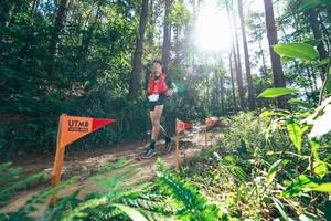 BIB: 
                            <button type="button" onclick="openModal(26629702)" class="btn btn-primary btn-sm float-right btn-popup" data-toggle="modal" data-target=".modal-high-quality">
                        <i class="fas fa-shopping-cart"></i> Add to Cart
                    </button>
                                            <button type="button" onclick="isThisMe(26629702, true)" class="btn btn-success btn-sm float-right btn-popup btn-isme hidden" data-toggle="tooltip" data-placement="bottom" title="นี่คือรูปของคุณใช่ไหม คลิกที่นี่เพื่อเอาเข้าอัลบั้ม">
                        <i class="fas fa-plus"></i> Add to album
                    </button>
                    <button type="button" onclick="isThisMe(26629702, false)" class="btn btn-warning btn-sm float-right btn-popup btn-isnotme hidden">
                        <i class="fas fa-ban"></i> Remove from album
                    </button>