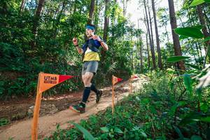 BIB: 
                            <button type="button" onclick="openModal(26629613)" class="btn btn-primary btn-sm float-right btn-popup" data-toggle="modal" data-target=".modal-high-quality">
                        <i class="fas fa-shopping-cart"></i> Add to Cart
                    </button>
                                            <button type="button" onclick="isThisMe(26629613, true)" class="btn btn-success btn-sm float-right btn-popup btn-isme hidden" data-toggle="tooltip" data-placement="bottom" title="นี่คือรูปของคุณใช่ไหม คลิกที่นี่เพื่อเอาเข้าอัลบั้ม">
                        <i class="fas fa-plus"></i> Add to album
                    </button>
                    <button type="button" onclick="isThisMe(26629613, false)" class="btn btn-warning btn-sm float-right btn-popup btn-isnotme hidden">
                        <i class="fas fa-ban"></i> Remove from album
                    </button>