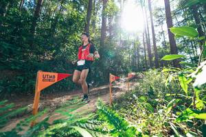 BIB: 
                            <button type="button" onclick="openModal(26629706)" class="btn btn-primary btn-sm float-right btn-popup" data-toggle="modal" data-target=".modal-high-quality">
                        <i class="fas fa-shopping-cart"></i> Add to Cart
                    </button>
                                            <button type="button" onclick="isThisMe(26629706, true)" class="btn btn-success btn-sm float-right btn-popup btn-isme hidden" data-toggle="tooltip" data-placement="bottom" title="นี่คือรูปของคุณใช่ไหม คลิกที่นี่เพื่อเอาเข้าอัลบั้ม">
                        <i class="fas fa-plus"></i> Add to album
                    </button>
                    <button type="button" onclick="isThisMe(26629706, false)" class="btn btn-warning btn-sm float-right btn-popup btn-isnotme hidden">
                        <i class="fas fa-ban"></i> Remove from album
                    </button>