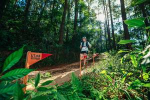 BIB: 
                            <button type="button" onclick="openModal(26630011)" class="btn btn-primary btn-sm float-right btn-popup" data-toggle="modal" data-target=".modal-high-quality">
                        <i class="fas fa-shopping-cart"></i> Add to Cart
                    </button>
                                            <button type="button" onclick="isThisMe(26630011, true)" class="btn btn-success btn-sm float-right btn-popup btn-isme hidden" data-toggle="tooltip" data-placement="bottom" title="นี่คือรูปของคุณใช่ไหม คลิกที่นี่เพื่อเอาเข้าอัลบั้ม">
                        <i class="fas fa-plus"></i> Add to album
                    </button>
                    <button type="button" onclick="isThisMe(26630011, false)" class="btn btn-warning btn-sm float-right btn-popup btn-isnotme hidden">
                        <i class="fas fa-ban"></i> Remove from album
                    </button>