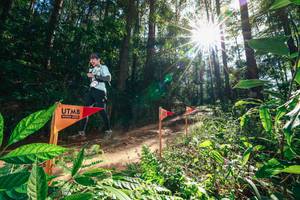 BIB: 
                            <button type="button" onclick="openModal(26630148)" class="btn btn-primary btn-sm float-right btn-popup" data-toggle="modal" data-target=".modal-high-quality">
                        <i class="fas fa-shopping-cart"></i> Add to Cart
                    </button>
                                            <button type="button" onclick="isThisMe(26630148, true)" class="btn btn-success btn-sm float-right btn-popup btn-isme hidden" data-toggle="tooltip" data-placement="bottom" title="นี่คือรูปของคุณใช่ไหม คลิกที่นี่เพื่อเอาเข้าอัลบั้ม">
                        <i class="fas fa-plus"></i> Add to album
                    </button>
                    <button type="button" onclick="isThisMe(26630148, false)" class="btn btn-warning btn-sm float-right btn-popup btn-isnotme hidden">
                        <i class="fas fa-ban"></i> Remove from album
                    </button>