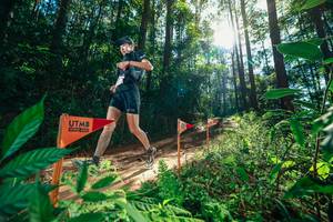 BIB: 
                            <button type="button" onclick="openModal(26629964)" class="btn btn-primary btn-sm float-right btn-popup" data-toggle="modal" data-target=".modal-high-quality">
                        <i class="fas fa-shopping-cart"></i> Add to Cart
                    </button>
                                            <button type="button" onclick="isThisMe(26629964, true)" class="btn btn-success btn-sm float-right btn-popup btn-isme hidden" data-toggle="tooltip" data-placement="bottom" title="นี่คือรูปของคุณใช่ไหม คลิกที่นี่เพื่อเอาเข้าอัลบั้ม">
                        <i class="fas fa-plus"></i> Add to album
                    </button>
                    <button type="button" onclick="isThisMe(26629964, false)" class="btn btn-warning btn-sm float-right btn-popup btn-isnotme hidden">
                        <i class="fas fa-ban"></i> Remove from album
                    </button>