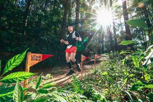 BIB: 
                            <button type="button" onclick="openModal(26630114)" class="btn btn-primary btn-sm float-right btn-popup" data-toggle="modal" data-target=".modal-high-quality">
                        <i class="fas fa-shopping-cart"></i> Add to Cart
                    </button>
                                            <button type="button" onclick="isThisMe(26630114, true)" class="btn btn-success btn-sm float-right btn-popup btn-isme hidden" data-toggle="tooltip" data-placement="bottom" title="นี่คือรูปของคุณใช่ไหม คลิกที่นี่เพื่อเอาเข้าอัลบั้ม">
                        <i class="fas fa-plus"></i> Add to album
                    </button>
                    <button type="button" onclick="isThisMe(26630114, false)" class="btn btn-warning btn-sm float-right btn-popup btn-isnotme hidden">
                        <i class="fas fa-ban"></i> Remove from album
                    </button>