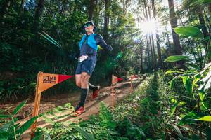 BIB: 
                            <button type="button" onclick="openModal(26630377)" class="btn btn-primary btn-sm float-right btn-popup" data-toggle="modal" data-target=".modal-high-quality">
                        <i class="fas fa-shopping-cart"></i> Add to Cart
                    </button>
                                            <button type="button" onclick="isThisMe(26630377, true)" class="btn btn-success btn-sm float-right btn-popup btn-isme hidden" data-toggle="tooltip" data-placement="bottom" title="นี่คือรูปของคุณใช่ไหม คลิกที่นี่เพื่อเอาเข้าอัลบั้ม">
                        <i class="fas fa-plus"></i> Add to album
                    </button>
                    <button type="button" onclick="isThisMe(26630377, false)" class="btn btn-warning btn-sm float-right btn-popup btn-isnotme hidden">
                        <i class="fas fa-ban"></i> Remove from album
                    </button>