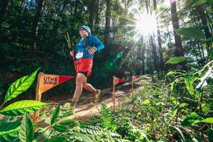 BIB: 
                            <button type="button" onclick="openModal(26630141)" class="btn btn-primary btn-sm float-right btn-popup" data-toggle="modal" data-target=".modal-high-quality">
                        <i class="fas fa-shopping-cart"></i> Add to Cart
                    </button>
                                            <button type="button" onclick="isThisMe(26630141, true)" class="btn btn-success btn-sm float-right btn-popup btn-isme hidden" data-toggle="tooltip" data-placement="bottom" title="นี่คือรูปของคุณใช่ไหม คลิกที่นี่เพื่อเอาเข้าอัลบั้ม">
                        <i class="fas fa-plus"></i> Add to album
                    </button>
                    <button type="button" onclick="isThisMe(26630141, false)" class="btn btn-warning btn-sm float-right btn-popup btn-isnotme hidden">
                        <i class="fas fa-ban"></i> Remove from album
                    </button>