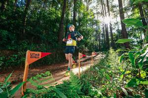 BIB: 
                            <button type="button" onclick="openModal(26630481)" class="btn btn-primary btn-sm float-right btn-popup" data-toggle="modal" data-target=".modal-high-quality">
                        <i class="fas fa-shopping-cart"></i> Add to Cart
                    </button>
                                            <button type="button" onclick="isThisMe(26630481, true)" class="btn btn-success btn-sm float-right btn-popup btn-isme hidden" data-toggle="tooltip" data-placement="bottom" title="นี่คือรูปของคุณใช่ไหม คลิกที่นี่เพื่อเอาเข้าอัลบั้ม">
                        <i class="fas fa-plus"></i> Add to album
                    </button>
                    <button type="button" onclick="isThisMe(26630481, false)" class="btn btn-warning btn-sm float-right btn-popup btn-isnotme hidden">
                        <i class="fas fa-ban"></i> Remove from album
                    </button>