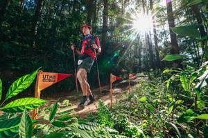 BIB: 
                            <button type="button" onclick="openModal(26630130)" class="btn btn-primary btn-sm float-right btn-popup" data-toggle="modal" data-target=".modal-high-quality">
                        <i class="fas fa-shopping-cart"></i> Add to Cart
                    </button>
                                            <button type="button" onclick="isThisMe(26630130, true)" class="btn btn-success btn-sm float-right btn-popup btn-isme hidden" data-toggle="tooltip" data-placement="bottom" title="นี่คือรูปของคุณใช่ไหม คลิกที่นี่เพื่อเอาเข้าอัลบั้ม">
                        <i class="fas fa-plus"></i> Add to album
                    </button>
                    <button type="button" onclick="isThisMe(26630130, false)" class="btn btn-warning btn-sm float-right btn-popup btn-isnotme hidden">
                        <i class="fas fa-ban"></i> Remove from album
                    </button>