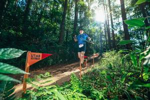 BIB: 
                            <button type="button" onclick="openModal(26629836)" class="btn btn-primary btn-sm float-right btn-popup" data-toggle="modal" data-target=".modal-high-quality">
                        <i class="fas fa-shopping-cart"></i> Add to Cart
                    </button>
                                            <button type="button" onclick="isThisMe(26629836, true)" class="btn btn-success btn-sm float-right btn-popup btn-isme hidden" data-toggle="tooltip" data-placement="bottom" title="นี่คือรูปของคุณใช่ไหม คลิกที่นี่เพื่อเอาเข้าอัลบั้ม">
                        <i class="fas fa-plus"></i> Add to album
                    </button>
                    <button type="button" onclick="isThisMe(26629836, false)" class="btn btn-warning btn-sm float-right btn-popup btn-isnotme hidden">
                        <i class="fas fa-ban"></i> Remove from album
                    </button>