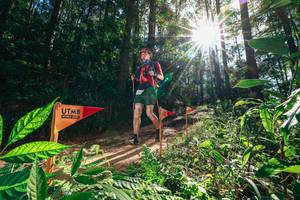 BIB: 
                            <button type="button" onclick="openModal(26630127)" class="btn btn-primary btn-sm float-right btn-popup" data-toggle="modal" data-target=".modal-high-quality">
                        <i class="fas fa-shopping-cart"></i> Add to Cart
                    </button>
                                            <button type="button" onclick="isThisMe(26630127, true)" class="btn btn-success btn-sm float-right btn-popup btn-isme hidden" data-toggle="tooltip" data-placement="bottom" title="นี่คือรูปของคุณใช่ไหม คลิกที่นี่เพื่อเอาเข้าอัลบั้ม">
                        <i class="fas fa-plus"></i> Add to album
                    </button>
                    <button type="button" onclick="isThisMe(26630127, false)" class="btn btn-warning btn-sm float-right btn-popup btn-isnotme hidden">
                        <i class="fas fa-ban"></i> Remove from album
                    </button>