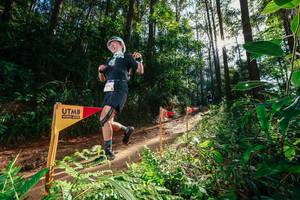 BIB: 
                            <button type="button" onclick="openModal(26630610)" class="btn btn-primary btn-sm float-right btn-popup" data-toggle="modal" data-target=".modal-high-quality">
                        <i class="fas fa-shopping-cart"></i> Add to Cart
                    </button>
                                            <button type="button" onclick="isThisMe(26630610, true)" class="btn btn-success btn-sm float-right btn-popup btn-isme hidden" data-toggle="tooltip" data-placement="bottom" title="นี่คือรูปของคุณใช่ไหม คลิกที่นี่เพื่อเอาเข้าอัลบั้ม">
                        <i class="fas fa-plus"></i> Add to album
                    </button>
                    <button type="button" onclick="isThisMe(26630610, false)" class="btn btn-warning btn-sm float-right btn-popup btn-isnotme hidden">
                        <i class="fas fa-ban"></i> Remove from album
                    </button>