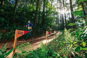 BIB: 
                            <button type="button" onclick="openModal(26630471)" class="btn btn-primary btn-sm float-right btn-popup" data-toggle="modal" data-target=".modal-high-quality">
                        <i class="fas fa-shopping-cart"></i> Add to Cart
                    </button>
                                            <button type="button" onclick="isThisMe(26630471, true)" class="btn btn-success btn-sm float-right btn-popup btn-isme hidden" data-toggle="tooltip" data-placement="bottom" title="นี่คือรูปของคุณใช่ไหม คลิกที่นี่เพื่อเอาเข้าอัลบั้ม">
                        <i class="fas fa-plus"></i> Add to album
                    </button>
                    <button type="button" onclick="isThisMe(26630471, false)" class="btn btn-warning btn-sm float-right btn-popup btn-isnotme hidden">
                        <i class="fas fa-ban"></i> Remove from album
                    </button>