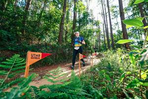 BIB: 
                            <button type="button" onclick="openModal(26629649)" class="btn btn-primary btn-sm float-right btn-popup" data-toggle="modal" data-target=".modal-high-quality">
                        <i class="fas fa-shopping-cart"></i> Add to Cart
                    </button>
                                            <button type="button" onclick="isThisMe(26629649, true)" class="btn btn-success btn-sm float-right btn-popup btn-isme hidden" data-toggle="tooltip" data-placement="bottom" title="นี่คือรูปของคุณใช่ไหม คลิกที่นี่เพื่อเอาเข้าอัลบั้ม">
                        <i class="fas fa-plus"></i> Add to album
                    </button>
                    <button type="button" onclick="isThisMe(26629649, false)" class="btn btn-warning btn-sm float-right btn-popup btn-isnotme hidden">
                        <i class="fas fa-ban"></i> Remove from album
                    </button>