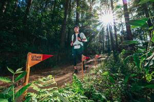 BIB: 
                            <button type="button" onclick="openModal(26630261)" class="btn btn-primary btn-sm float-right btn-popup" data-toggle="modal" data-target=".modal-high-quality">
                        <i class="fas fa-shopping-cart"></i> Add to Cart
                    </button>
                                            <button type="button" onclick="isThisMe(26630261, true)" class="btn btn-success btn-sm float-right btn-popup btn-isme hidden" data-toggle="tooltip" data-placement="bottom" title="นี่คือรูปของคุณใช่ไหม คลิกที่นี่เพื่อเอาเข้าอัลบั้ม">
                        <i class="fas fa-plus"></i> Add to album
                    </button>
                    <button type="button" onclick="isThisMe(26630261, false)" class="btn btn-warning btn-sm float-right btn-popup btn-isnotme hidden">
                        <i class="fas fa-ban"></i> Remove from album
                    </button>