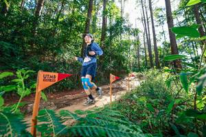 BIB: 
                            <button type="button" onclick="openModal(26629634)" class="btn btn-primary btn-sm float-right btn-popup" data-toggle="modal" data-target=".modal-high-quality">
                        <i class="fas fa-shopping-cart"></i> Add to Cart
                    </button>
                                            <button type="button" onclick="isThisMe(26629634, true)" class="btn btn-success btn-sm float-right btn-popup btn-isme hidden" data-toggle="tooltip" data-placement="bottom" title="นี่คือรูปของคุณใช่ไหม คลิกที่นี่เพื่อเอาเข้าอัลบั้ม">
                        <i class="fas fa-plus"></i> Add to album
                    </button>
                    <button type="button" onclick="isThisMe(26629634, false)" class="btn btn-warning btn-sm float-right btn-popup btn-isnotme hidden">
                        <i class="fas fa-ban"></i> Remove from album
                    </button>