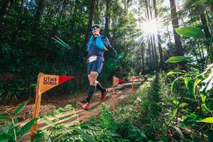 BIB: 
                            <button type="button" onclick="openModal(26630376)" class="btn btn-primary btn-sm float-right btn-popup" data-toggle="modal" data-target=".modal-high-quality">
                        <i class="fas fa-shopping-cart"></i> Add to Cart
                    </button>
                                            <button type="button" onclick="isThisMe(26630376, true)" class="btn btn-success btn-sm float-right btn-popup btn-isme hidden" data-toggle="tooltip" data-placement="bottom" title="นี่คือรูปของคุณใช่ไหม คลิกที่นี่เพื่อเอาเข้าอัลบั้ม">
                        <i class="fas fa-plus"></i> Add to album
                    </button>
                    <button type="button" onclick="isThisMe(26630376, false)" class="btn btn-warning btn-sm float-right btn-popup btn-isnotme hidden">
                        <i class="fas fa-ban"></i> Remove from album
                    </button>