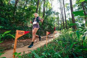 BIB: 
                            <button type="button" onclick="openModal(26629626)" class="btn btn-primary btn-sm float-right btn-popup" data-toggle="modal" data-target=".modal-high-quality">
                        <i class="fas fa-shopping-cart"></i> Add to Cart
                    </button>
                                            <button type="button" onclick="isThisMe(26629626, true)" class="btn btn-success btn-sm float-right btn-popup btn-isme hidden" data-toggle="tooltip" data-placement="bottom" title="นี่คือรูปของคุณใช่ไหม คลิกที่นี่เพื่อเอาเข้าอัลบั้ม">
                        <i class="fas fa-plus"></i> Add to album
                    </button>
                    <button type="button" onclick="isThisMe(26629626, false)" class="btn btn-warning btn-sm float-right btn-popup btn-isnotme hidden">
                        <i class="fas fa-ban"></i> Remove from album
                    </button>