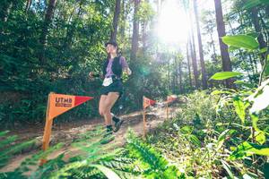 BIB: 
                            <button type="button" onclick="openModal(26629709)" class="btn btn-primary btn-sm float-right btn-popup" data-toggle="modal" data-target=".modal-high-quality">
                        <i class="fas fa-shopping-cart"></i> Add to Cart
                    </button>
                                            <button type="button" onclick="isThisMe(26629709, true)" class="btn btn-success btn-sm float-right btn-popup btn-isme hidden" data-toggle="tooltip" data-placement="bottom" title="นี่คือรูปของคุณใช่ไหม คลิกที่นี่เพื่อเอาเข้าอัลบั้ม">
                        <i class="fas fa-plus"></i> Add to album
                    </button>
                    <button type="button" onclick="isThisMe(26629709, false)" class="btn btn-warning btn-sm float-right btn-popup btn-isnotme hidden">
                        <i class="fas fa-ban"></i> Remove from album
                    </button>