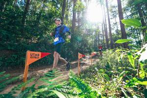 BIB: 
                            <button type="button" onclick="openModal(26629700)" class="btn btn-primary btn-sm float-right btn-popup" data-toggle="modal" data-target=".modal-high-quality">
                        <i class="fas fa-shopping-cart"></i> Add to Cart
                    </button>
                                            <button type="button" onclick="isThisMe(26629700, true)" class="btn btn-success btn-sm float-right btn-popup btn-isme hidden" data-toggle="tooltip" data-placement="bottom" title="นี่คือรูปของคุณใช่ไหม คลิกที่นี่เพื่อเอาเข้าอัลบั้ม">
                        <i class="fas fa-plus"></i> Add to album
                    </button>
                    <button type="button" onclick="isThisMe(26629700, false)" class="btn btn-warning btn-sm float-right btn-popup btn-isnotme hidden">
                        <i class="fas fa-ban"></i> Remove from album
                    </button>