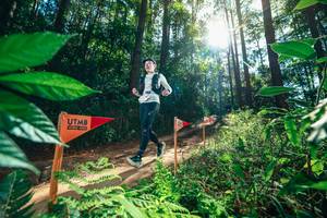 BIB: 
                            <button type="button" onclick="openModal(26629834)" class="btn btn-primary btn-sm float-right btn-popup" data-toggle="modal" data-target=".modal-high-quality">
                        <i class="fas fa-shopping-cart"></i> Add to Cart
                    </button>
                                            <button type="button" onclick="isThisMe(26629834, true)" class="btn btn-success btn-sm float-right btn-popup btn-isme hidden" data-toggle="tooltip" data-placement="bottom" title="นี่คือรูปของคุณใช่ไหม คลิกที่นี่เพื่อเอาเข้าอัลบั้ม">
                        <i class="fas fa-plus"></i> Add to album
                    </button>
                    <button type="button" onclick="isThisMe(26629834, false)" class="btn btn-warning btn-sm float-right btn-popup btn-isnotme hidden">
                        <i class="fas fa-ban"></i> Remove from album
                    </button>