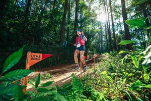 BIB: 
                            <button type="button" onclick="openModal(26630052)" class="btn btn-primary btn-sm float-right btn-popup" data-toggle="modal" data-target=".modal-high-quality">
                        <i class="fas fa-shopping-cart"></i> Add to Cart
                    </button>
                                            <button type="button" onclick="isThisMe(26630052, true)" class="btn btn-success btn-sm float-right btn-popup btn-isme hidden" data-toggle="tooltip" data-placement="bottom" title="นี่คือรูปของคุณใช่ไหม คลิกที่นี่เพื่อเอาเข้าอัลบั้ม">
                        <i class="fas fa-plus"></i> Add to album
                    </button>
                    <button type="button" onclick="isThisMe(26630052, false)" class="btn btn-warning btn-sm float-right btn-popup btn-isnotme hidden">
                        <i class="fas fa-ban"></i> Remove from album
                    </button>