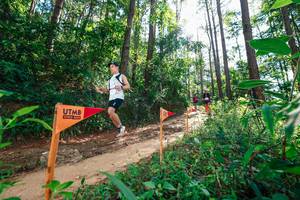 BIB: 
                            <button type="button" onclick="openModal(26629622)" class="btn btn-primary btn-sm float-right btn-popup" data-toggle="modal" data-target=".modal-high-quality">
                        <i class="fas fa-shopping-cart"></i> Add to Cart
                    </button>
                                            <button type="button" onclick="isThisMe(26629622, true)" class="btn btn-success btn-sm float-right btn-popup btn-isme hidden" data-toggle="tooltip" data-placement="bottom" title="นี่คือรูปของคุณใช่ไหม คลิกที่นี่เพื่อเอาเข้าอัลบั้ม">
                        <i class="fas fa-plus"></i> Add to album
                    </button>
                    <button type="button" onclick="isThisMe(26629622, false)" class="btn btn-warning btn-sm float-right btn-popup btn-isnotme hidden">
                        <i class="fas fa-ban"></i> Remove from album
                    </button>