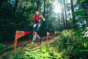 BIB: 
                            <button type="button" onclick="openModal(26629737)" class="btn btn-primary btn-sm float-right btn-popup" data-toggle="modal" data-target=".modal-high-quality">
                        <i class="fas fa-shopping-cart"></i> Add to Cart
                    </button>
                                            <button type="button" onclick="isThisMe(26629737, true)" class="btn btn-success btn-sm float-right btn-popup btn-isme hidden" data-toggle="tooltip" data-placement="bottom" title="นี่คือรูปของคุณใช่ไหม คลิกที่นี่เพื่อเอาเข้าอัลบั้ม">
                        <i class="fas fa-plus"></i> Add to album
                    </button>
                    <button type="button" onclick="isThisMe(26629737, false)" class="btn btn-warning btn-sm float-right btn-popup btn-isnotme hidden">
                        <i class="fas fa-ban"></i> Remove from album
                    </button>