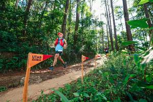 BIB: 
                            <button type="button" onclick="openModal(26629590)" class="btn btn-primary btn-sm float-right btn-popup" data-toggle="modal" data-target=".modal-high-quality">
                        <i class="fas fa-shopping-cart"></i> Add to Cart
                    </button>
                                            <button type="button" onclick="isThisMe(26629590, true)" class="btn btn-success btn-sm float-right btn-popup btn-isme hidden" data-toggle="tooltip" data-placement="bottom" title="นี่คือรูปของคุณใช่ไหม คลิกที่นี่เพื่อเอาเข้าอัลบั้ม">
                        <i class="fas fa-plus"></i> Add to album
                    </button>
                    <button type="button" onclick="isThisMe(26629590, false)" class="btn btn-warning btn-sm float-right btn-popup btn-isnotme hidden">
                        <i class="fas fa-ban"></i> Remove from album
                    </button>