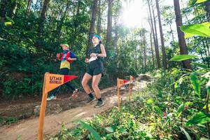 BIB: 
                            <button type="button" onclick="openModal(26629349)" class="btn btn-primary btn-sm float-right btn-popup" data-toggle="modal" data-target=".modal-high-quality">
                        <i class="fas fa-shopping-cart"></i> Add to Cart
                    </button>
                                            <button type="button" onclick="isThisMe(26629349, true)" class="btn btn-success btn-sm float-right btn-popup btn-isme hidden" data-toggle="tooltip" data-placement="bottom" title="นี่คือรูปของคุณใช่ไหม คลิกที่นี่เพื่อเอาเข้าอัลบั้ม">
                        <i class="fas fa-plus"></i> Add to album
                    </button>
                    <button type="button" onclick="isThisMe(26629349, false)" class="btn btn-warning btn-sm float-right btn-popup btn-isnotme hidden">
                        <i class="fas fa-ban"></i> Remove from album
                    </button>