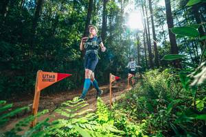 BIB: 
                            <button type="button" onclick="openModal(26629744)" class="btn btn-primary btn-sm float-right btn-popup" data-toggle="modal" data-target=".modal-high-quality">
                        <i class="fas fa-shopping-cart"></i> Add to Cart
                    </button>
                                            <button type="button" onclick="isThisMe(26629744, true)" class="btn btn-success btn-sm float-right btn-popup btn-isme hidden" data-toggle="tooltip" data-placement="bottom" title="นี่คือรูปของคุณใช่ไหม คลิกที่นี่เพื่อเอาเข้าอัลบั้ม">
                        <i class="fas fa-plus"></i> Add to album
                    </button>
                    <button type="button" onclick="isThisMe(26629744, false)" class="btn btn-warning btn-sm float-right btn-popup btn-isnotme hidden">
                        <i class="fas fa-ban"></i> Remove from album
                    </button>