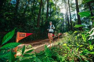 BIB: 
                            <button type="button" onclick="openModal(26630018)" class="btn btn-primary btn-sm float-right btn-popup" data-toggle="modal" data-target=".modal-high-quality">
                        <i class="fas fa-shopping-cart"></i> Add to Cart
                    </button>
                                            <button type="button" onclick="isThisMe(26630018, true)" class="btn btn-success btn-sm float-right btn-popup btn-isme hidden" data-toggle="tooltip" data-placement="bottom" title="นี่คือรูปของคุณใช่ไหม คลิกที่นี่เพื่อเอาเข้าอัลบั้ม">
                        <i class="fas fa-plus"></i> Add to album
                    </button>
                    <button type="button" onclick="isThisMe(26630018, false)" class="btn btn-warning btn-sm float-right btn-popup btn-isnotme hidden">
                        <i class="fas fa-ban"></i> Remove from album
                    </button>