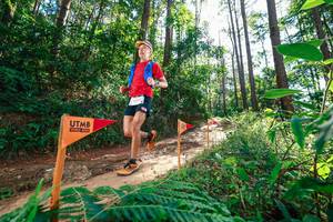 BIB: 
                            <button type="button" onclick="openModal(26629646)" class="btn btn-primary btn-sm float-right btn-popup" data-toggle="modal" data-target=".modal-high-quality">
                        <i class="fas fa-shopping-cart"></i> Add to Cart
                    </button>
                                            <button type="button" onclick="isThisMe(26629646, true)" class="btn btn-success btn-sm float-right btn-popup btn-isme hidden" data-toggle="tooltip" data-placement="bottom" title="นี่คือรูปของคุณใช่ไหม คลิกที่นี่เพื่อเอาเข้าอัลบั้ม">
                        <i class="fas fa-plus"></i> Add to album
                    </button>
                    <button type="button" onclick="isThisMe(26629646, false)" class="btn btn-warning btn-sm float-right btn-popup btn-isnotme hidden">
                        <i class="fas fa-ban"></i> Remove from album
                    </button>