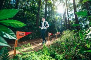 BIB: 
                            <button type="button" onclick="openModal(26629833)" class="btn btn-primary btn-sm float-right btn-popup" data-toggle="modal" data-target=".modal-high-quality">
                        <i class="fas fa-shopping-cart"></i> Add to Cart
                    </button>
                                            <button type="button" onclick="isThisMe(26629833, true)" class="btn btn-success btn-sm float-right btn-popup btn-isme hidden" data-toggle="tooltip" data-placement="bottom" title="นี่คือรูปของคุณใช่ไหม คลิกที่นี่เพื่อเอาเข้าอัลบั้ม">
                        <i class="fas fa-plus"></i> Add to album
                    </button>
                    <button type="button" onclick="isThisMe(26629833, false)" class="btn btn-warning btn-sm float-right btn-popup btn-isnotme hidden">
                        <i class="fas fa-ban"></i> Remove from album
                    </button>