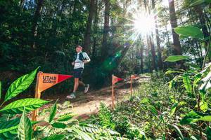 BIB: 
                            <button type="button" onclick="openModal(26630112)" class="btn btn-primary btn-sm float-right btn-popup" data-toggle="modal" data-target=".modal-high-quality">
                        <i class="fas fa-shopping-cart"></i> Add to Cart
                    </button>
                                            <button type="button" onclick="isThisMe(26630112, true)" class="btn btn-success btn-sm float-right btn-popup btn-isme hidden" data-toggle="tooltip" data-placement="bottom" title="นี่คือรูปของคุณใช่ไหม คลิกที่นี่เพื่อเอาเข้าอัลบั้ม">
                        <i class="fas fa-plus"></i> Add to album
                    </button>
                    <button type="button" onclick="isThisMe(26630112, false)" class="btn btn-warning btn-sm float-right btn-popup btn-isnotme hidden">
                        <i class="fas fa-ban"></i> Remove from album
                    </button>