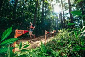 BIB: 
                            <button type="button" onclick="openModal(26629867)" class="btn btn-primary btn-sm float-right btn-popup" data-toggle="modal" data-target=".modal-high-quality">
                        <i class="fas fa-shopping-cart"></i> Add to Cart
                    </button>
                                            <button type="button" onclick="isThisMe(26629867, true)" class="btn btn-success btn-sm float-right btn-popup btn-isme hidden" data-toggle="tooltip" data-placement="bottom" title="นี่คือรูปของคุณใช่ไหม คลิกที่นี่เพื่อเอาเข้าอัลบั้ม">
                        <i class="fas fa-plus"></i> Add to album
                    </button>
                    <button type="button" onclick="isThisMe(26629867, false)" class="btn btn-warning btn-sm float-right btn-popup btn-isnotme hidden">
                        <i class="fas fa-ban"></i> Remove from album
                    </button>