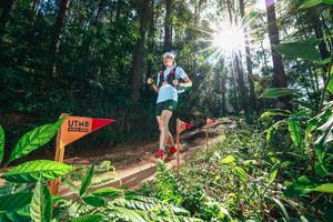 BIB: 
                            <button type="button" onclick="openModal(26630153)" class="btn btn-primary btn-sm float-right btn-popup" data-toggle="modal" data-target=".modal-high-quality">
                        <i class="fas fa-shopping-cart"></i> Add to Cart
                    </button>
                                            <button type="button" onclick="isThisMe(26630153, true)" class="btn btn-success btn-sm float-right btn-popup btn-isme hidden" data-toggle="tooltip" data-placement="bottom" title="นี่คือรูปของคุณใช่ไหม คลิกที่นี่เพื่อเอาเข้าอัลบั้ม">
                        <i class="fas fa-plus"></i> Add to album
                    </button>
                    <button type="button" onclick="isThisMe(26630153, false)" class="btn btn-warning btn-sm float-right btn-popup btn-isnotme hidden">
                        <i class="fas fa-ban"></i> Remove from album
                    </button>