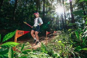 BIB: 
                            <button type="button" onclick="openModal(26630164)" class="btn btn-primary btn-sm float-right btn-popup" data-toggle="modal" data-target=".modal-high-quality">
                        <i class="fas fa-shopping-cart"></i> Add to Cart
                    </button>
                                            <button type="button" onclick="isThisMe(26630164, true)" class="btn btn-success btn-sm float-right btn-popup btn-isme hidden" data-toggle="tooltip" data-placement="bottom" title="นี่คือรูปของคุณใช่ไหม คลิกที่นี่เพื่อเอาเข้าอัลบั้ม">
                        <i class="fas fa-plus"></i> Add to album
                    </button>
                    <button type="button" onclick="isThisMe(26630164, false)" class="btn btn-warning btn-sm float-right btn-popup btn-isnotme hidden">
                        <i class="fas fa-ban"></i> Remove from album
                    </button>