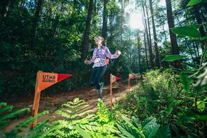 BIB: 
                            <button type="button" onclick="openModal(26629756)" class="btn btn-primary btn-sm float-right btn-popup" data-toggle="modal" data-target=".modal-high-quality">
                        <i class="fas fa-shopping-cart"></i> Add to Cart
                    </button>
                                            <button type="button" onclick="isThisMe(26629756, true)" class="btn btn-success btn-sm float-right btn-popup btn-isme hidden" data-toggle="tooltip" data-placement="bottom" title="นี่คือรูปของคุณใช่ไหม คลิกที่นี่เพื่อเอาเข้าอัลบั้ม">
                        <i class="fas fa-plus"></i> Add to album
                    </button>
                    <button type="button" onclick="isThisMe(26629756, false)" class="btn btn-warning btn-sm float-right btn-popup btn-isnotme hidden">
                        <i class="fas fa-ban"></i> Remove from album
                    </button>