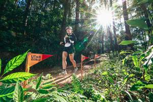 BIB: 
                            <button type="button" onclick="openModal(26630122)" class="btn btn-primary btn-sm float-right btn-popup" data-toggle="modal" data-target=".modal-high-quality">
                        <i class="fas fa-shopping-cart"></i> Add to Cart
                    </button>
                                            <button type="button" onclick="isThisMe(26630122, true)" class="btn btn-success btn-sm float-right btn-popup btn-isme hidden" data-toggle="tooltip" data-placement="bottom" title="นี่คือรูปของคุณใช่ไหม คลิกที่นี่เพื่อเอาเข้าอัลบั้ม">
                        <i class="fas fa-plus"></i> Add to album
                    </button>
                    <button type="button" onclick="isThisMe(26630122, false)" class="btn btn-warning btn-sm float-right btn-popup btn-isnotme hidden">
                        <i class="fas fa-ban"></i> Remove from album
                    </button>