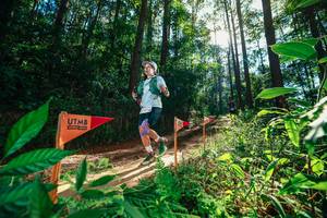 BIB: 
                            <button type="button" onclick="openModal(26630037)" class="btn btn-primary btn-sm float-right btn-popup" data-toggle="modal" data-target=".modal-high-quality">
                        <i class="fas fa-shopping-cart"></i> Add to Cart
                    </button>
                                            <button type="button" onclick="isThisMe(26630037, true)" class="btn btn-success btn-sm float-right btn-popup btn-isme hidden" data-toggle="tooltip" data-placement="bottom" title="นี่คือรูปของคุณใช่ไหม คลิกที่นี่เพื่อเอาเข้าอัลบั้ม">
                        <i class="fas fa-plus"></i> Add to album
                    </button>
                    <button type="button" onclick="isThisMe(26630037, false)" class="btn btn-warning btn-sm float-right btn-popup btn-isnotme hidden">
                        <i class="fas fa-ban"></i> Remove from album
                    </button>