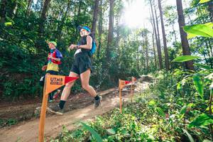 BIB: 
                            <button type="button" onclick="openModal(26629350)" class="btn btn-primary btn-sm float-right btn-popup" data-toggle="modal" data-target=".modal-high-quality">
                        <i class="fas fa-shopping-cart"></i> Add to Cart
                    </button>
                                            <button type="button" onclick="isThisMe(26629350, true)" class="btn btn-success btn-sm float-right btn-popup btn-isme hidden" data-toggle="tooltip" data-placement="bottom" title="นี่คือรูปของคุณใช่ไหม คลิกที่นี่เพื่อเอาเข้าอัลบั้ม">
                        <i class="fas fa-plus"></i> Add to album
                    </button>
                    <button type="button" onclick="isThisMe(26629350, false)" class="btn btn-warning btn-sm float-right btn-popup btn-isnotme hidden">
                        <i class="fas fa-ban"></i> Remove from album
                    </button>