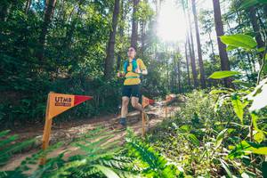 BIB: 
                            <button type="button" onclick="openModal(26629692)" class="btn btn-primary btn-sm float-right btn-popup" data-toggle="modal" data-target=".modal-high-quality">
                        <i class="fas fa-shopping-cart"></i> Add to Cart
                    </button>
                                            <button type="button" onclick="isThisMe(26629692, true)" class="btn btn-success btn-sm float-right btn-popup btn-isme hidden" data-toggle="tooltip" data-placement="bottom" title="นี่คือรูปของคุณใช่ไหม คลิกที่นี่เพื่อเอาเข้าอัลบั้ม">
                        <i class="fas fa-plus"></i> Add to album
                    </button>
                    <button type="button" onclick="isThisMe(26629692, false)" class="btn btn-warning btn-sm float-right btn-popup btn-isnotme hidden">
                        <i class="fas fa-ban"></i> Remove from album
                    </button>