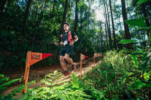 BIB: 
                            <button type="button" onclick="openModal(26629768)" class="btn btn-primary btn-sm float-right btn-popup" data-toggle="modal" data-target=".modal-high-quality">
                        <i class="fas fa-shopping-cart"></i> Add to Cart
                    </button>
                                            <button type="button" onclick="isThisMe(26629768, true)" class="btn btn-success btn-sm float-right btn-popup btn-isme hidden" data-toggle="tooltip" data-placement="bottom" title="นี่คือรูปของคุณใช่ไหม คลิกที่นี่เพื่อเอาเข้าอัลบั้ม">
                        <i class="fas fa-plus"></i> Add to album
                    </button>
                    <button type="button" onclick="isThisMe(26629768, false)" class="btn btn-warning btn-sm float-right btn-popup btn-isnotme hidden">
                        <i class="fas fa-ban"></i> Remove from album
                    </button>