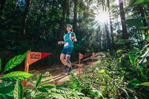 BIB: 
                            <button type="button" onclick="openModal(26630173)" class="btn btn-primary btn-sm float-right btn-popup" data-toggle="modal" data-target=".modal-high-quality">
                        <i class="fas fa-shopping-cart"></i> Add to Cart
                    </button>
                                            <button type="button" onclick="isThisMe(26630173, true)" class="btn btn-success btn-sm float-right btn-popup btn-isme hidden" data-toggle="tooltip" data-placement="bottom" title="นี่คือรูปของคุณใช่ไหม คลิกที่นี่เพื่อเอาเข้าอัลบั้ม">
                        <i class="fas fa-plus"></i> Add to album
                    </button>
                    <button type="button" onclick="isThisMe(26630173, false)" class="btn btn-warning btn-sm float-right btn-popup btn-isnotme hidden">
                        <i class="fas fa-ban"></i> Remove from album
                    </button>