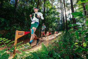 BIB: 
                            <button type="button" onclick="openModal(26630665)" class="btn btn-primary btn-sm float-right btn-popup" data-toggle="modal" data-target=".modal-high-quality">
                        <i class="fas fa-shopping-cart"></i> Add to Cart
                    </button>
                                            <button type="button" onclick="isThisMe(26630665, true)" class="btn btn-success btn-sm float-right btn-popup btn-isme hidden" data-toggle="tooltip" data-placement="bottom" title="นี่คือรูปของคุณใช่ไหม คลิกที่นี่เพื่อเอาเข้าอัลบั้ม">
                        <i class="fas fa-plus"></i> Add to album
                    </button>
                    <button type="button" onclick="isThisMe(26630665, false)" class="btn btn-warning btn-sm float-right btn-popup btn-isnotme hidden">
                        <i class="fas fa-ban"></i> Remove from album
                    </button>