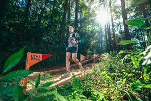 BIB: 
                            <button type="button" onclick="openModal(26630068)" class="btn btn-primary btn-sm float-right btn-popup" data-toggle="modal" data-target=".modal-high-quality">
                        <i class="fas fa-shopping-cart"></i> Add to Cart
                    </button>
                                            <button type="button" onclick="isThisMe(26630068, true)" class="btn btn-success btn-sm float-right btn-popup btn-isme hidden" data-toggle="tooltip" data-placement="bottom" title="นี่คือรูปของคุณใช่ไหม คลิกที่นี่เพื่อเอาเข้าอัลบั้ม">
                        <i class="fas fa-plus"></i> Add to album
                    </button>
                    <button type="button" onclick="isThisMe(26630068, false)" class="btn btn-warning btn-sm float-right btn-popup btn-isnotme hidden">
                        <i class="fas fa-ban"></i> Remove from album
                    </button>