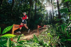 BIB: 
                            <button type="button" onclick="openModal(26630188)" class="btn btn-primary btn-sm float-right btn-popup" data-toggle="modal" data-target=".modal-high-quality">
                        <i class="fas fa-shopping-cart"></i> Add to Cart
                    </button>
                                            <button type="button" onclick="isThisMe(26630188, true)" class="btn btn-success btn-sm float-right btn-popup btn-isme hidden" data-toggle="tooltip" data-placement="bottom" title="นี่คือรูปของคุณใช่ไหม คลิกที่นี่เพื่อเอาเข้าอัลบั้ม">
                        <i class="fas fa-plus"></i> Add to album
                    </button>
                    <button type="button" onclick="isThisMe(26630188, false)" class="btn btn-warning btn-sm float-right btn-popup btn-isnotme hidden">
                        <i class="fas fa-ban"></i> Remove from album
                    </button>