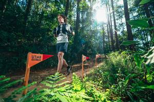 BIB: 
                            <button type="button" onclick="openModal(26629733)" class="btn btn-primary btn-sm float-right btn-popup" data-toggle="modal" data-target=".modal-high-quality">
                        <i class="fas fa-shopping-cart"></i> Add to Cart
                    </button>
                                            <button type="button" onclick="isThisMe(26629733, true)" class="btn btn-success btn-sm float-right btn-popup btn-isme hidden" data-toggle="tooltip" data-placement="bottom" title="นี่คือรูปของคุณใช่ไหม คลิกที่นี่เพื่อเอาเข้าอัลบั้ม">
                        <i class="fas fa-plus"></i> Add to album
                    </button>
                    <button type="button" onclick="isThisMe(26629733, false)" class="btn btn-warning btn-sm float-right btn-popup btn-isnotme hidden">
                        <i class="fas fa-ban"></i> Remove from album
                    </button>