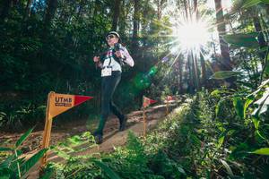 BIB: 
                            <button type="button" onclick="openModal(26630392)" class="btn btn-primary btn-sm float-right btn-popup" data-toggle="modal" data-target=".modal-high-quality">
                        <i class="fas fa-shopping-cart"></i> Add to Cart
                    </button>
                                            <button type="button" onclick="isThisMe(26630392, true)" class="btn btn-success btn-sm float-right btn-popup btn-isme hidden" data-toggle="tooltip" data-placement="bottom" title="นี่คือรูปของคุณใช่ไหม คลิกที่นี่เพื่อเอาเข้าอัลบั้ม">
                        <i class="fas fa-plus"></i> Add to album
                    </button>
                    <button type="button" onclick="isThisMe(26630392, false)" class="btn btn-warning btn-sm float-right btn-popup btn-isnotme hidden">
                        <i class="fas fa-ban"></i> Remove from album
                    </button>